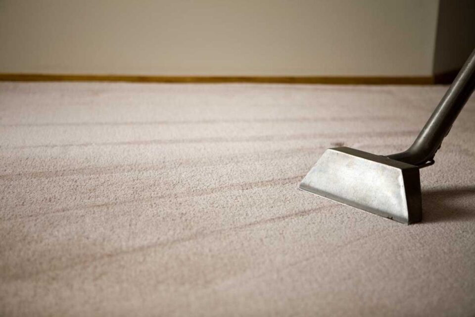 Professional Carpet Cleaning Versus Buying New Carpet